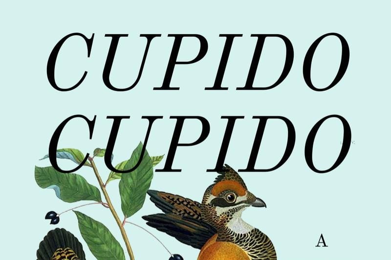 cupido cupido book cover