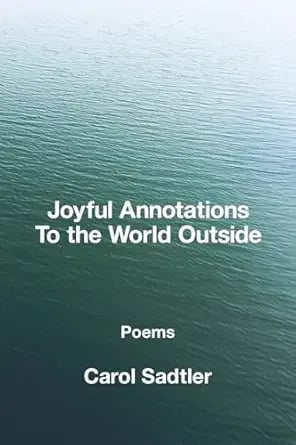 blue cover art for joyful annotations of the world outside