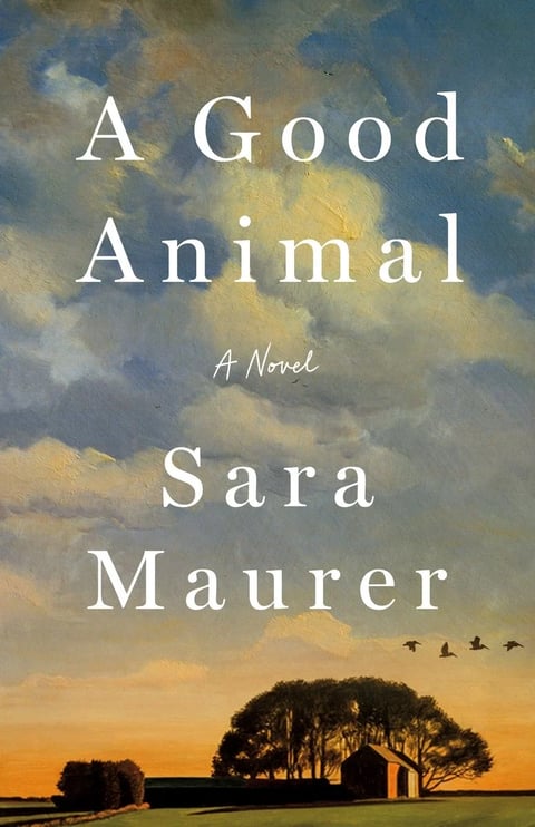 Novel: A Good Animal