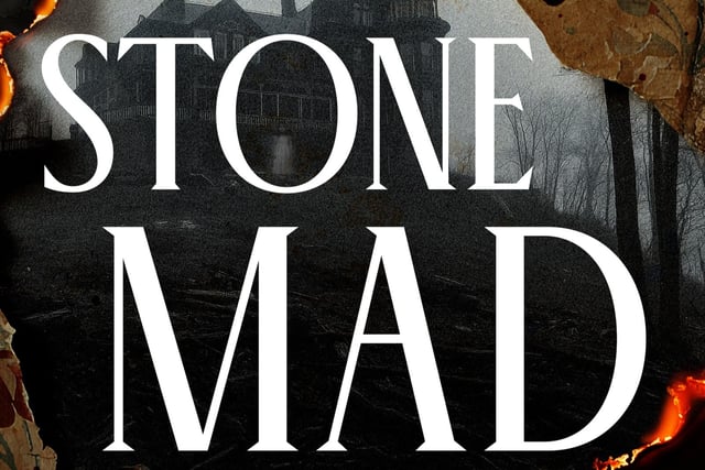 Author Event - Stone Mad by D.M Pulley