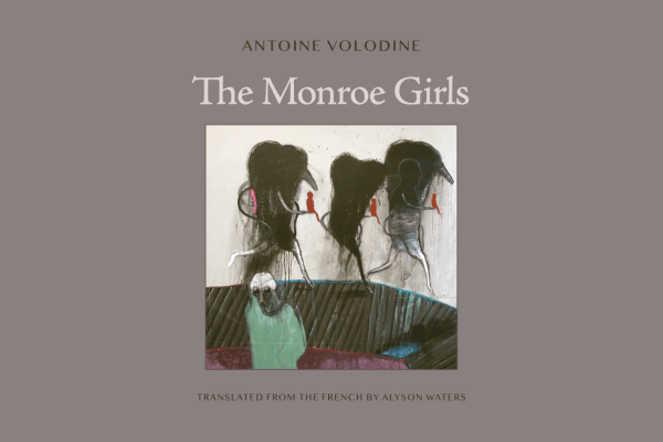 Cover of Volodine's Book in gray