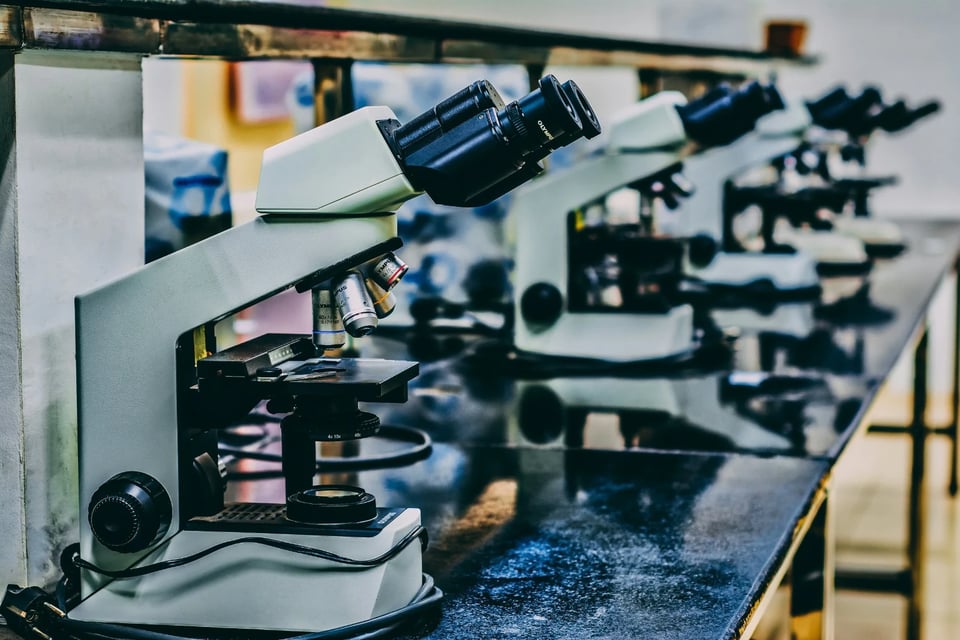 SCIENCE AND WINE